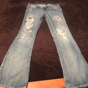 Silver Jeans Francis 18" - Boot Cut Jeans